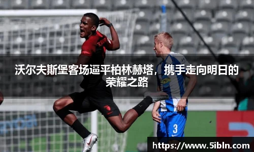 中欧体育平台