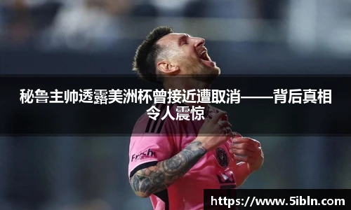 中欧体育平台