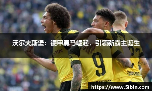 沃尔夫斯堡：德甲黑马崛起，引领新霸主诞生